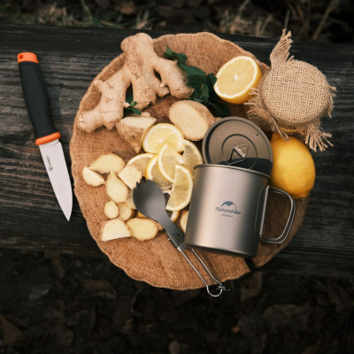 Ніж Ganzo G806-OR помаранчевий з ножнами