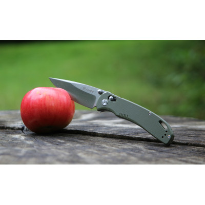 Ніж складаний Ganzo G7531-GR зелений